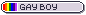 gay boy button